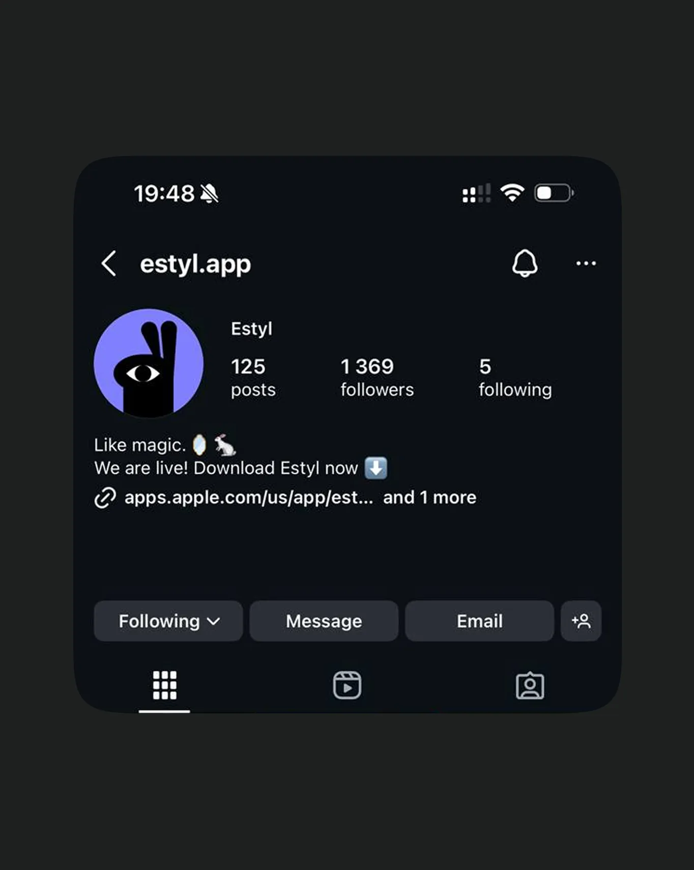 Estyl Instagram profile — social brand presence mobile UI
